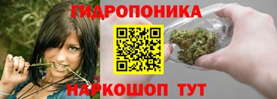шишки Старая Купавна