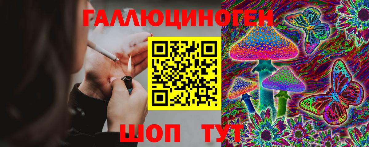Новоуральск  Псилоцибиновые грибы Psilocybine cubensis  Вход с VPN 